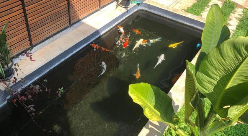 Palmhouse Hotel Mae Hong Son Exterior photo